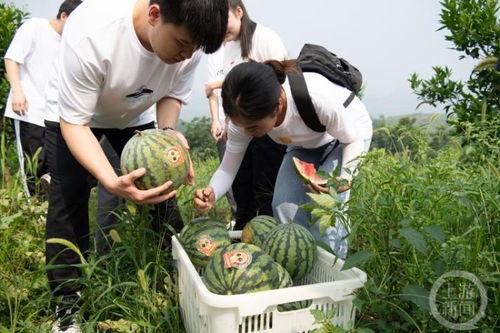 重庆公园吃瓜事件后续,真相揭晓，公众舆论影响与反思