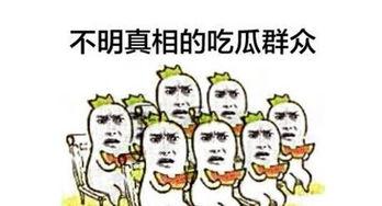 做个吃瓜群众就好,笑看娱乐圈风云变幻
