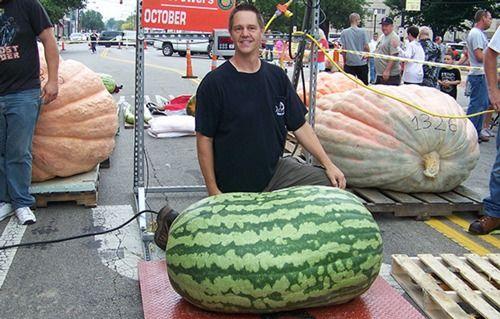 吃瓜到生理极限,生理与心理的双重考验