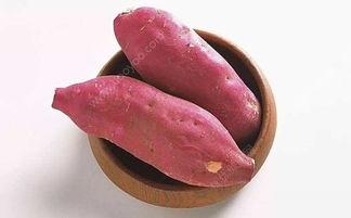 吃土瓜放屁正常吗,揭秘日常饮食中的生理现象