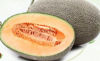 吃哈密瓜喉咙恶心,揭秘背后的原因与应对策略