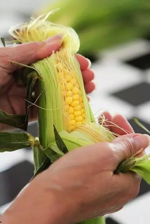 农村鸡吃玉米吃瓜,玉米瓜香，共享丰收喜悦