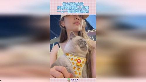 吵架吃瓜视频小猫,吃瓜视频里的萌宠瞬间