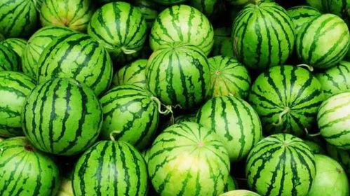 事业粉吃瓜,揭秘娱乐圈吃瓜背后的真相与内幕