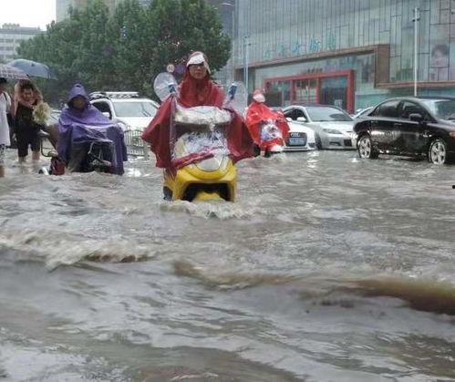 河南吃瓜事件郑州,一场网络热议背后的真相与反思
