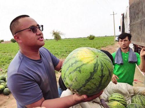 瓜瓜吃瓜全程图片,一场视觉盛宴的甜蜜之旅