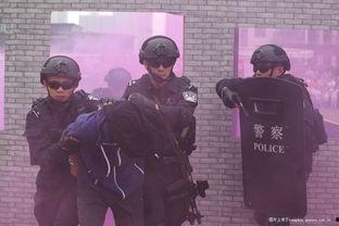 南汇吃瓜警察,一场网络舆论的风波与反思