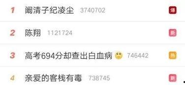 湖南卫视模型吃瓜,揭秘娱乐圈幕后风云