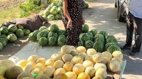 热门吃瓜汇总,揭秘娱乐圈幕后风云