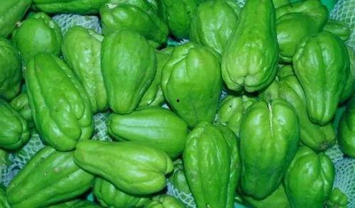 智力瓜怎么吃最好吃,解锁最佳口感与营养秘密