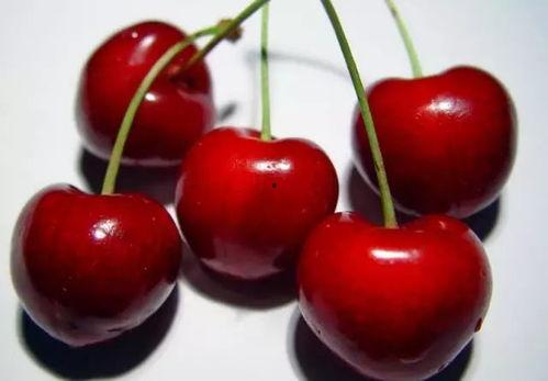 小樱桃吃瓜 下载,揭秘瓜界新宠儿的魅力之旅