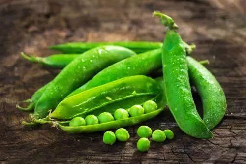 吃瓜小爱豆,吃瓜小爱豆的幕后故事