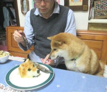 吃瓜的无耳狗头,揭秘娱乐圈幕后真相