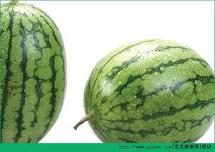 吃白玉瓜过敏,警惕这种常见食材的潜在风险