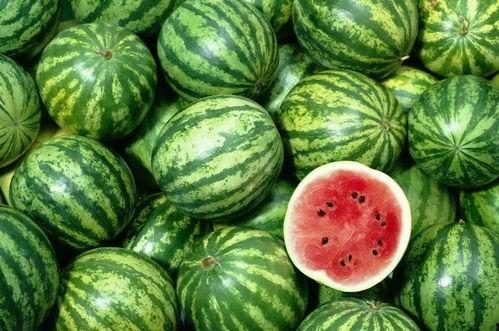 吃熙瓜熙瓜壁纸,捕捉夏日清凉的视觉盛宴
