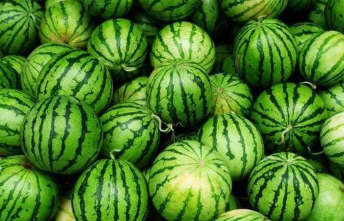 夏天吃哪几样瓜,夏日消暑瓜果盛宴