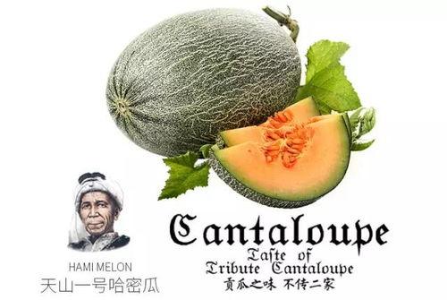 吃瓜上号,吃瓜群众如何成为舆论风向标