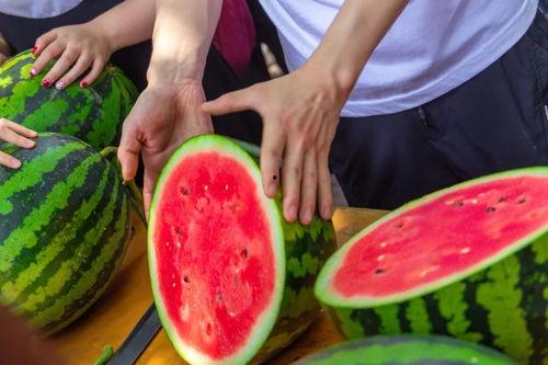 吃瓜学生版,揭秘吃瓜学生的八卦世界