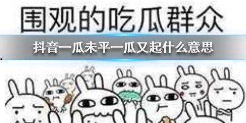 吃瓜景点抖音,揭秘吃瓜景点背后的故事与魅力