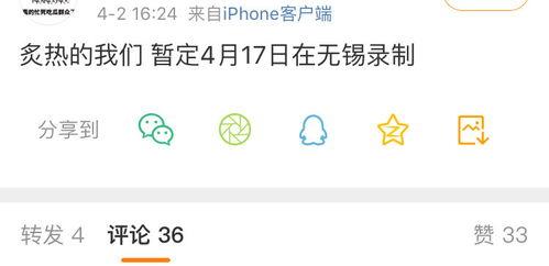 吃瓜记事录,揭秘娱乐圈幕后故事