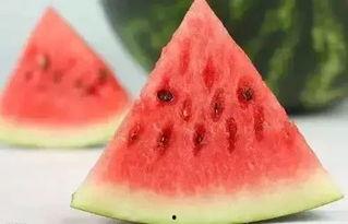 冬天吃瓜夏天,冬天吃瓜，夏天品果的奇妙体验