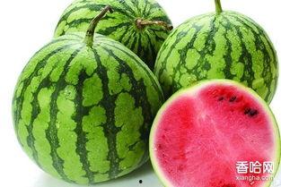 来月经吃羊角瓜可以吗,月经期间食用羊角瓜的适宜性探讨