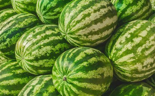 怎么找别人吃瓜,如何轻松找到别人分享的“瓜”