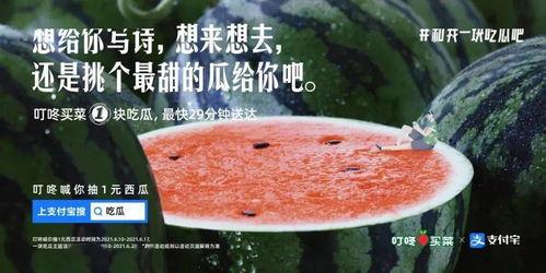 专注吃瓜文案,揭秘娱乐圈的甜蜜与苦涩