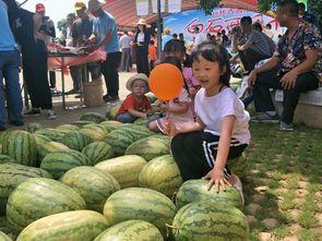 农村吃瓜少年,农村吃瓜少年的成长故事