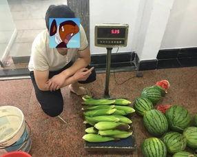 偷瓜吃瓜被,一场意外的甜蜜冒险