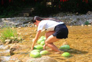 吃瓜比赛最快吃瓜的第一,最快吃瓜第一人挑战极限