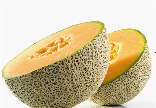 许昌新鲜哈密瓜推荐吃