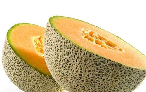 哈密瓜的幼瓜能炒着吃吗