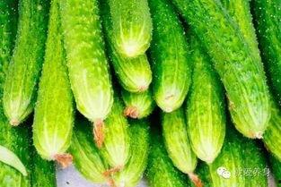 清热解毒吃瓜,清热解毒，吃瓜养生攻略