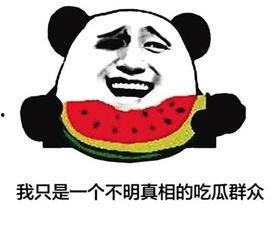 网络吃瓜在线观看,在线观看的娱乐新潮流