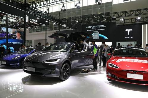 博兴特斯拉吃瓜,揭秘背后真相与争议