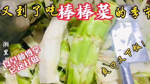 香河老师吃瓜,揭秘娱乐圈幕后故事