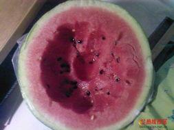 创意吃瓜头饰,趣味横生的夏日时尚新宠