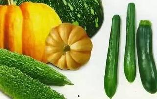 欢娱吃瓜