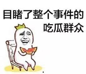潮州吃瓜群众,吃瓜群众的美食盛宴