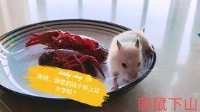 吃瓜板板