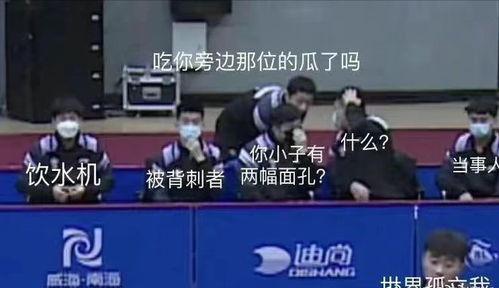 国乒吃瓜圆满,吃瓜圆满，荣耀再续