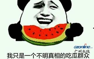 对吃瓜群众的描写